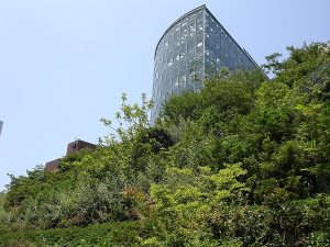 روف گاردن بام سبز (3)